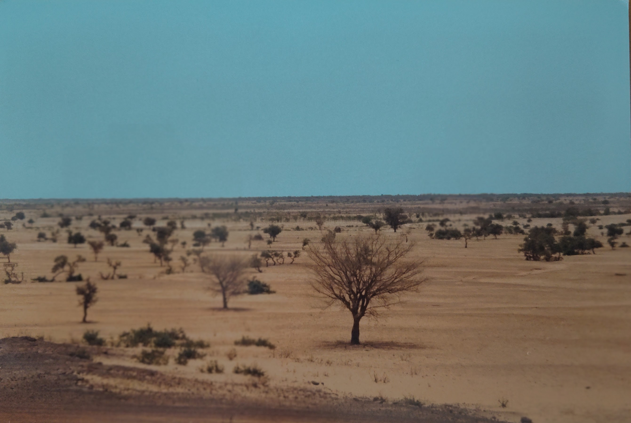 IMG_20240415_164327278_MF_PORTRAIT