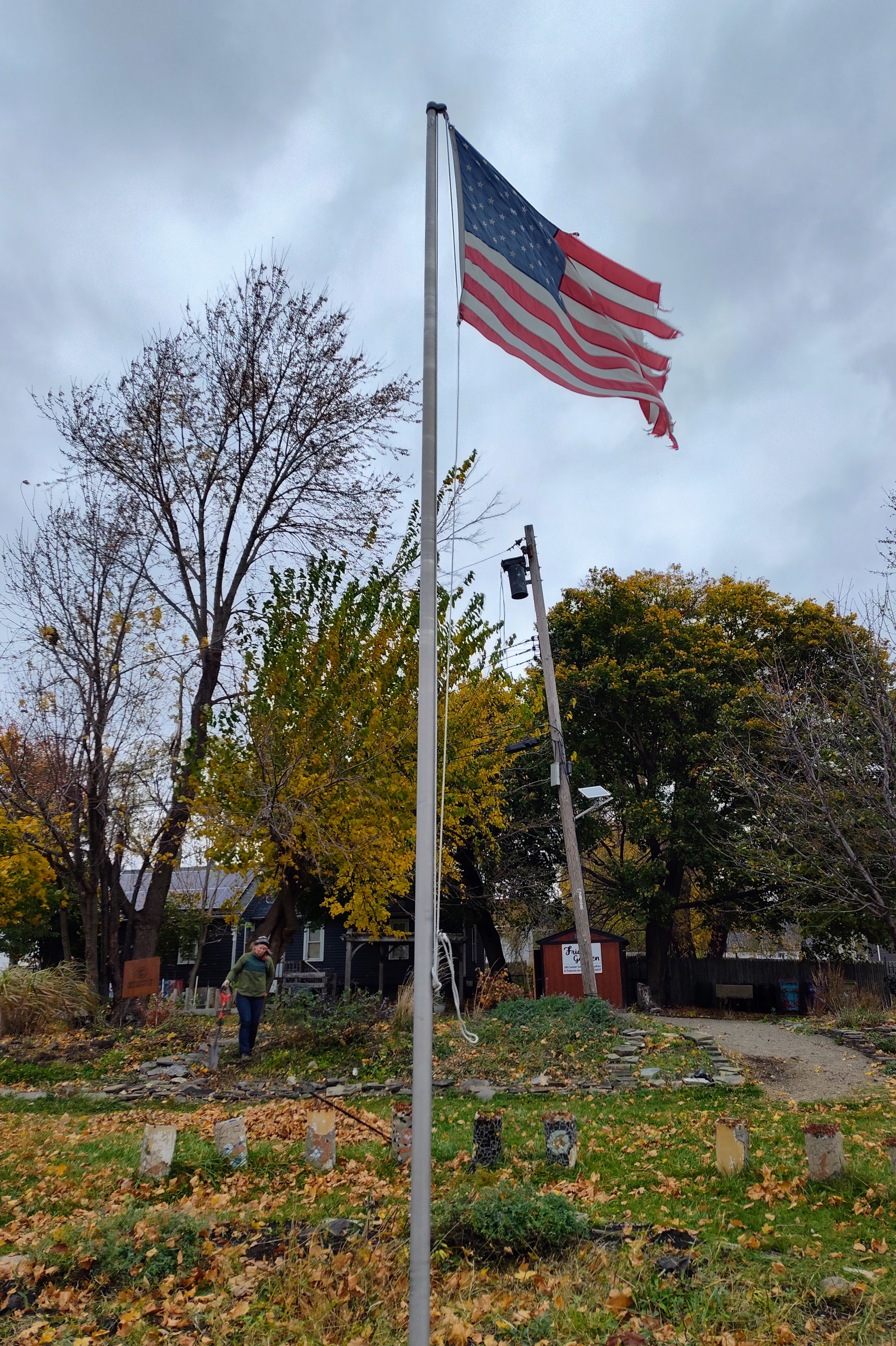 original_14d10318-cb1d-4c86-856e-64dba6166c49_IMG_20241108_135854277_HDR